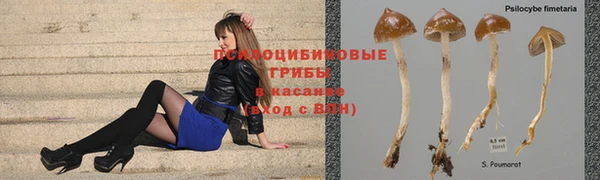 mdma Лиски