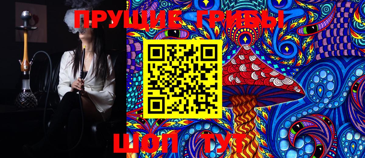 Галлюциногенные грибы Psilocybe Новодвинск