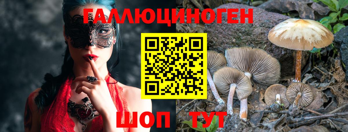 Псилоцибиновые грибы мухоморы  Галлюциногенные грибы MAGIC MUSHROOMS  Новодвинск 