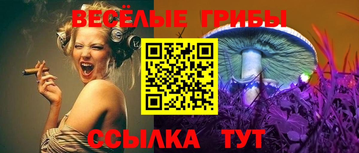Новодвинск  Галлюциногенные грибы ЛСД  Вход с VPN 