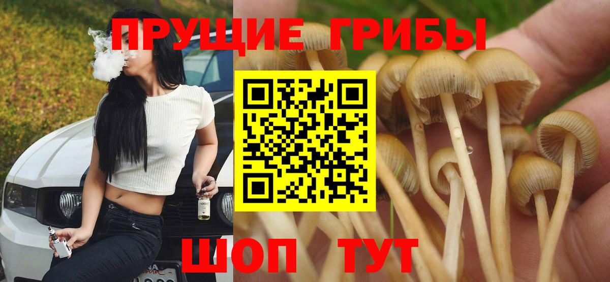 Гашиш  Новодвинск  Alpha PVP СК кристаллы  Кокаин  МЕФ кристаллы  Каннабис  Вход с VPN 